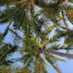 Meet your Posher, Jen